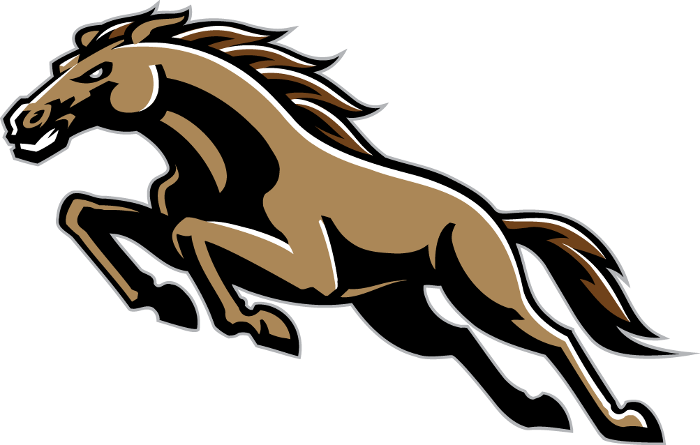 Western Michigan Broncos 1998-2015 Alternate Logo vinyl decal